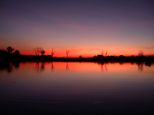 Yellow Waters Billabong (sunset)